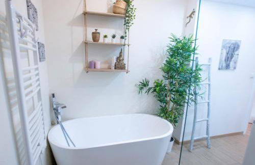 Le Coccon Entre Basso Cambo et Lardenne - Photo 6