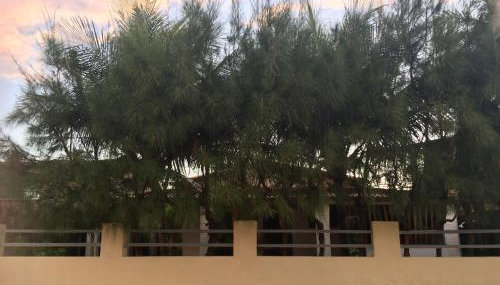 Casa operete - Foto 3