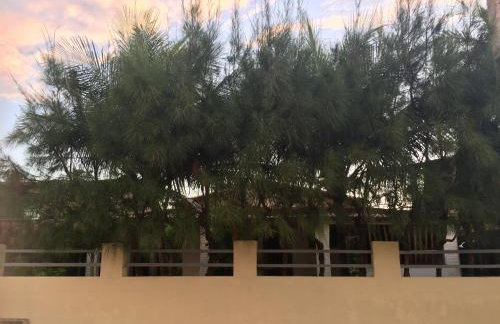 Casa operete - Foto 3