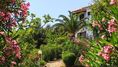 Studios Avra - Foto 3, Garden