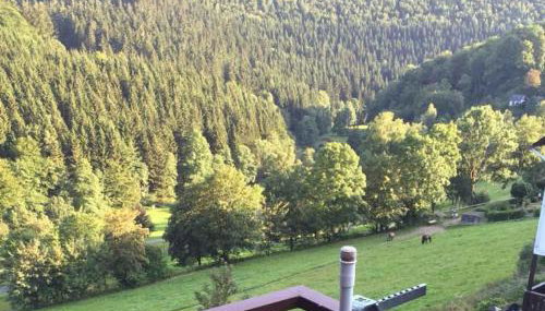 Ferienwohnung Nordenau - Foto 2