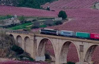 Casa rural El olivo - Foto 8