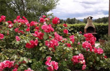 Agriturismo Le Chiare Stelle - Foto 44