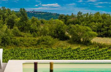 Villa Klara - Foto 14