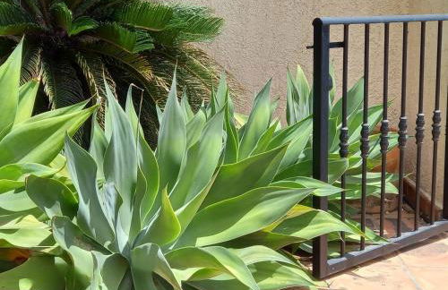 Villa Suiza - Photo 34