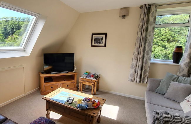 Plas Penaeldroch Manor - Foto 14