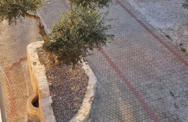 Olive Grove Apartment - Photo 38