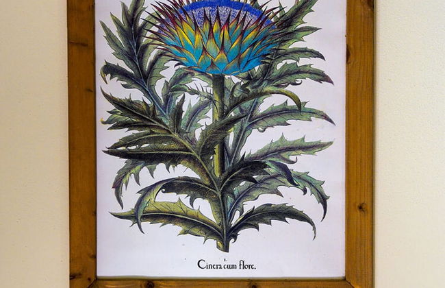 Belvilla by Oyo Erica - Photo 19