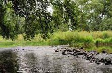 Casa do Moleiro - Foto 42