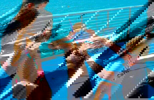 Snorkel en Cayo Hueso - Foto 7