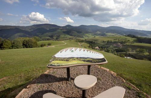 Ferienwohnungen Golla-lang - Foto 21