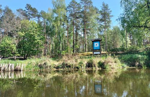 Leśna Chata kuracyjna nad rzeką z sauną w Borach Tucholskich - Foto 69