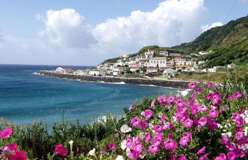 Lia's House - Photo 8