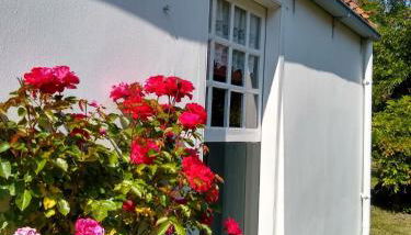 Klaras Huuske - Foto 3