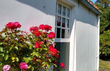 Klaras Huuske - Foto 3