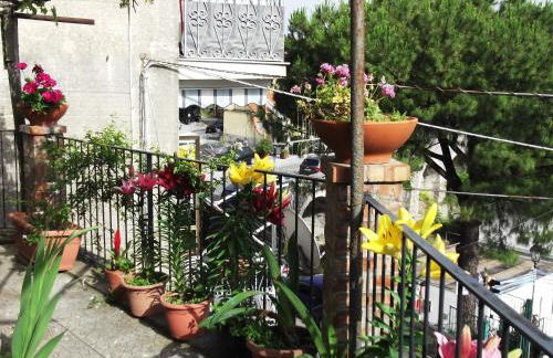 Le Mimose - Photo 57