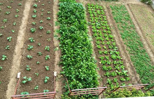 Apartment LU - Photo 57