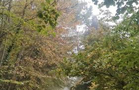 Fattoria di Mugnano - Foto 33