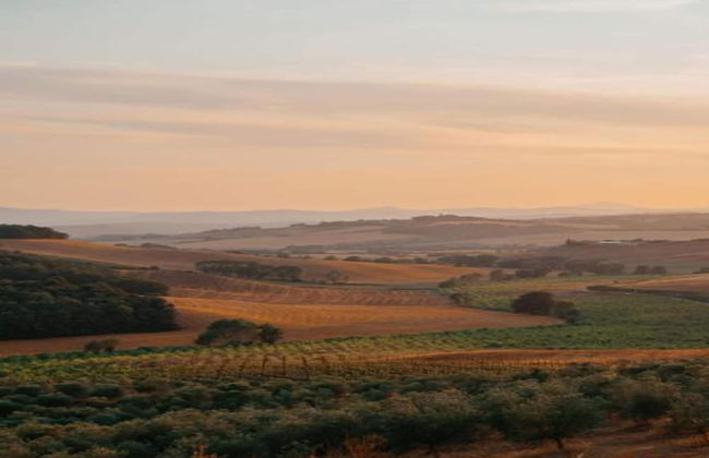 360 Degree View of the Tuscan - Foto 36