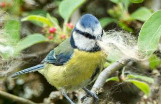 Room with a view - Photo 43