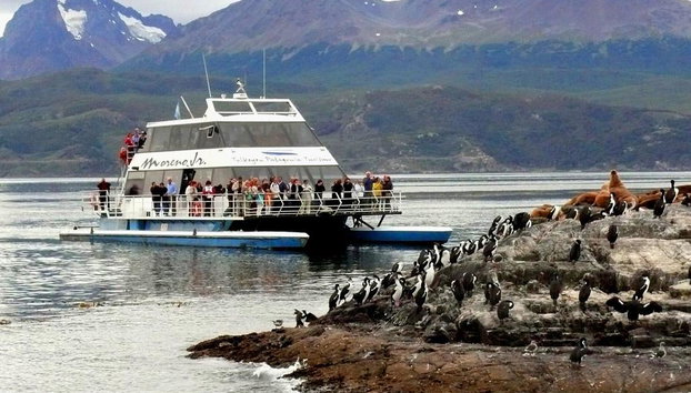 Paseo en catamarán por la pingüinera - Foto 3