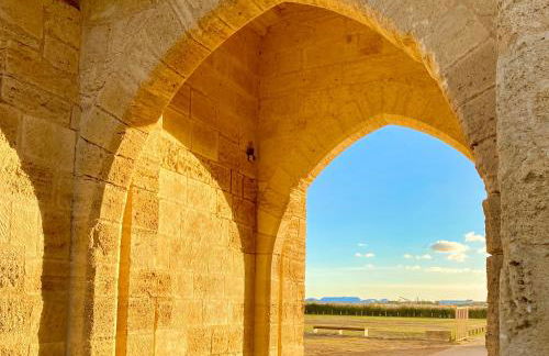 Studio pour deux avec terrasse aux portes de la Camargue - Foto 46