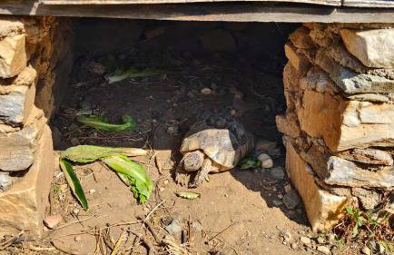 Syros Sun Beach Villa - Foto 49