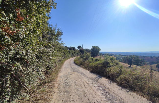 Country House - Foto 30