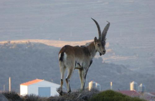Casa rural La Sabina - Foto 39