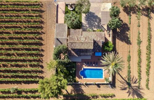 Vinyes Can Grau - Foto 16