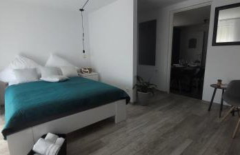 Apartamenty Pod Uwalonym Dębem - Foto 5