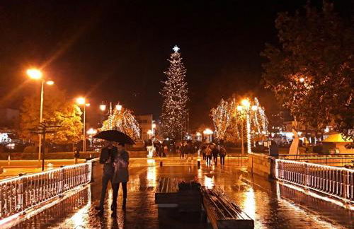 Εlite Αpartment Trikala - Foto 54