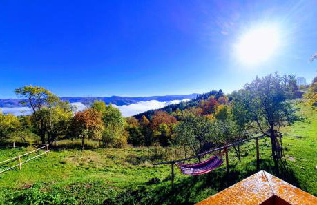 Domek Góralski Piwowarówka - Foto 38