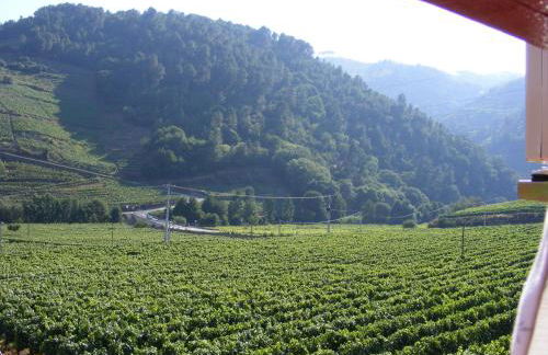 Solar Quinta da Portela - Douro - Photo 47