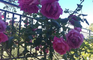 Villa Evita Apartments - Foto 60