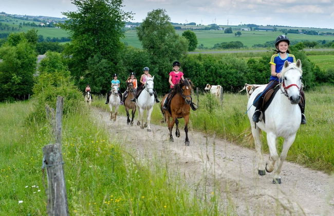 Nengshof - Haus Königskerze - Photo 15