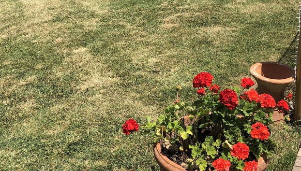 Podere Cortesi Agriturismo Molinaccio - Foto 4