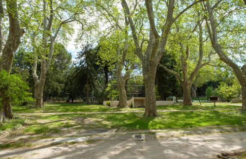 Mas 9 Romanin - Mas Provençal Familial - Foto 42