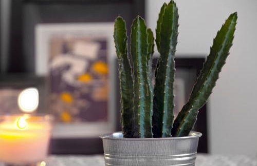 Casa Tortilla Sant Antoni - Photo 44