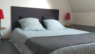 spéculoos et chicorée - Foto 4