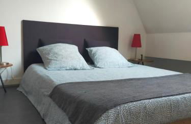 spéculoos et chicorée - Foto 4