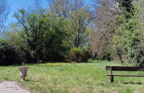 Studios ou Chambre SDB avec extérieur centre-ville Ribérac - Foto 11