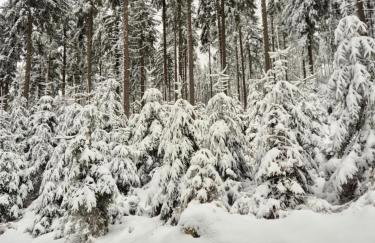 Wypoczynkowy Zakątek w Górach - Foto 14