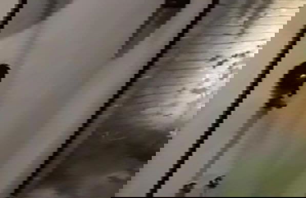 cottage chalet - Photo 45