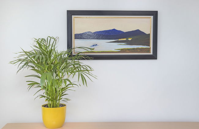 Coral Island 102 - Photo 18