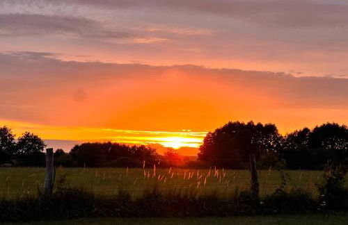 ECOVILLA - Natur pur - Foto 45