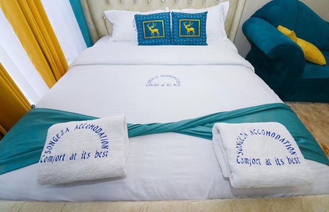 Songeza Furnished Accomoda-super Studio,embakasi - Foto 2