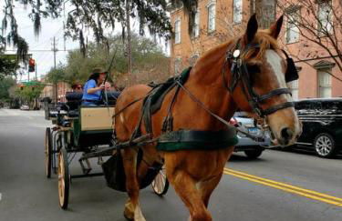 Newly Renovated 4 bed 3 bath and 2 Parking Spots - Foto 35
