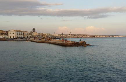 Hibiscus Rosso - Foto 24