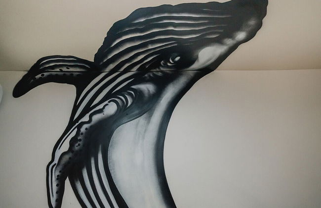 Mareta Apartments - Foto 18